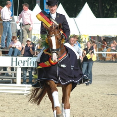 Dantonisius von Don Frederico ist Bundeschampion 2005 der 3-jährigen Reitpferde geworden